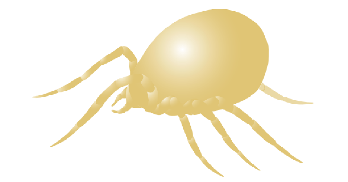 AMBLYSEIUS SWIRSKII Fitosistema Inovação Confiança Eficácia