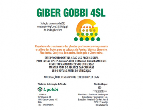 GIBER GOBBI 4 SL
